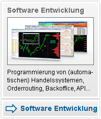 Software Entwicklung